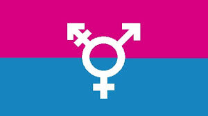 trans_flag