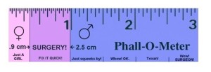 phallometer